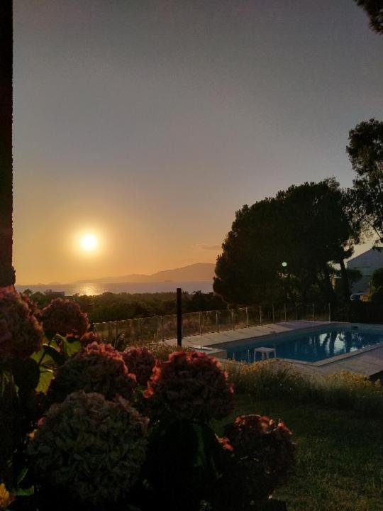 Corsicadream Arone Superbe Appartement Dans Villa, Vue Panoramique Mer, Piscine, Proche Porticcio Pietrosella Dış mekan fotoğraf